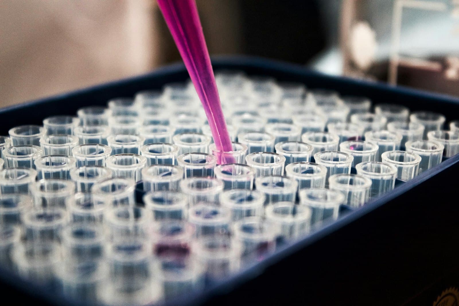 Sample tubes in an analytical laboratory